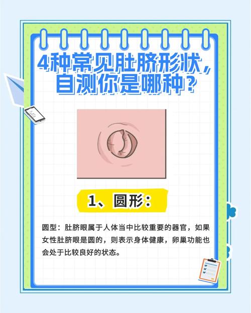 揭示梦见肚脐眼的深层含义心理解析与生活启示