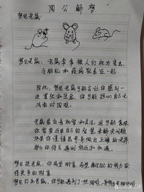 梦见死耗子解梦与心理分析对照，哪个更能揭示内心秘密？