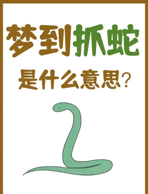 梦见抓蛇象征意义深度解析揭示心理暗示与运势指导