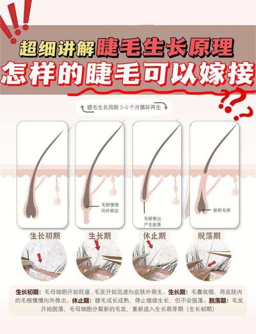 解读梦见眼睫毛的5个心理暗示，专家解析长尾趋势