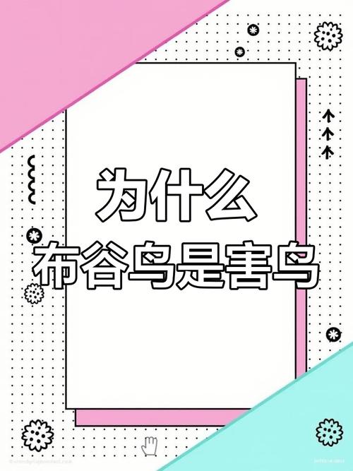 梦见布谷鸟象征解读揭开隐藏人生启示的深度分析