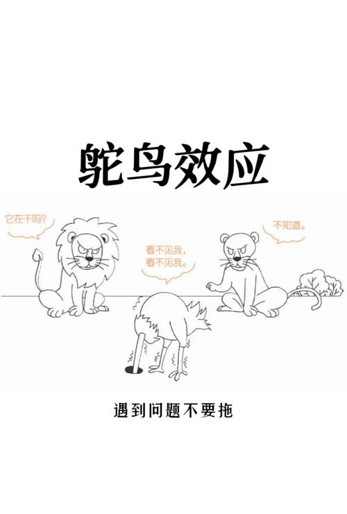 梦见鸵鸟的深层寓意解读心理暗示与人生启示
