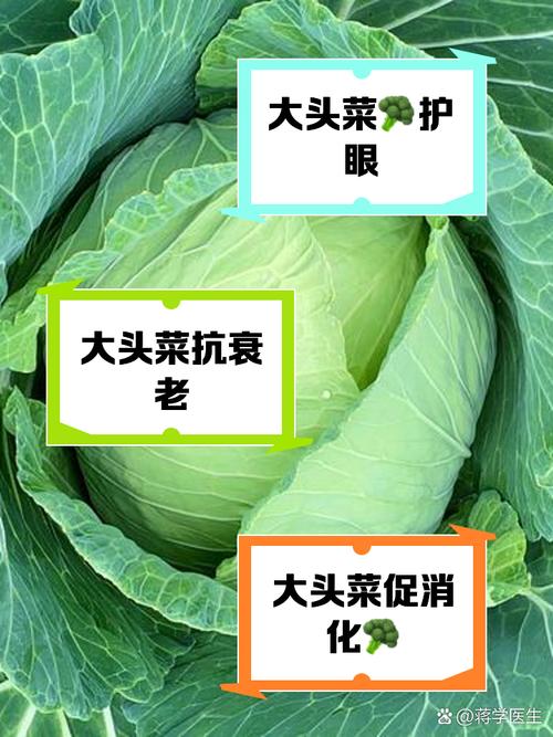 梦见大头菜的含义解析如何利用心理暗示提升生活质量