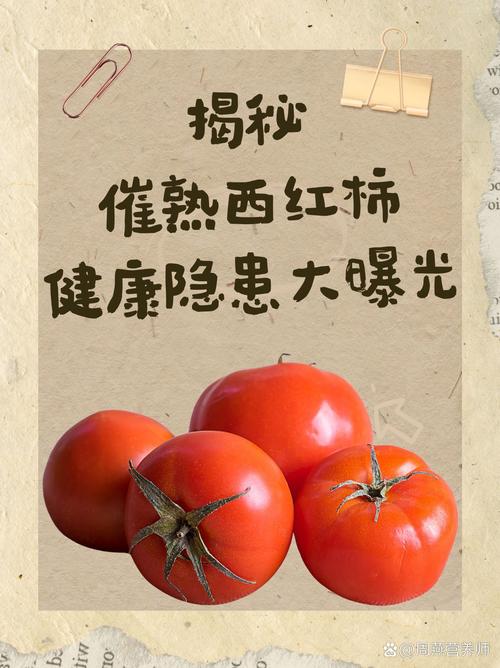 揭秘梦见西红柿的深层意义心理解析与生活启示