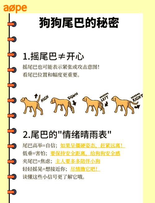 男人梦中化狗象征何意？揭示背后潜藏心理长尾密码