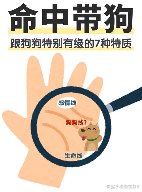 男人梦中化狗象征何意？揭示背后潜藏心理长尾密码