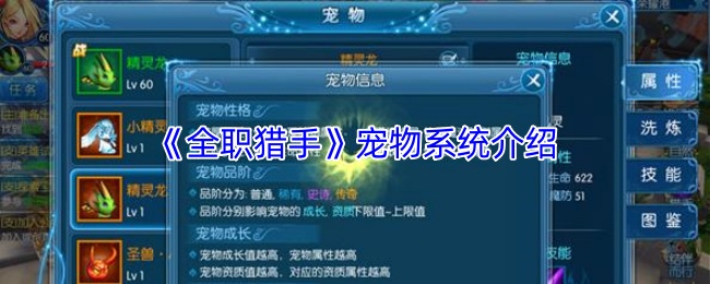 你了解全职猎手宠物系统的秘密吗? 你了解全职猎手宠物系统的秘密吗?