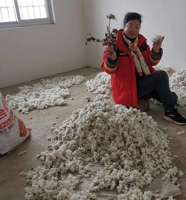 揭秘梦见摘棉花的9种象征意义与解读专家解析