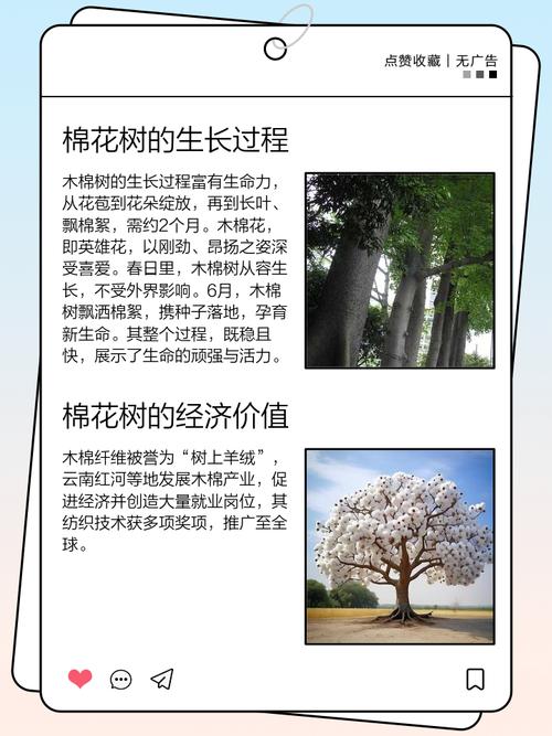 揭秘梦见摘棉花的9种象征意义与解读专家解析