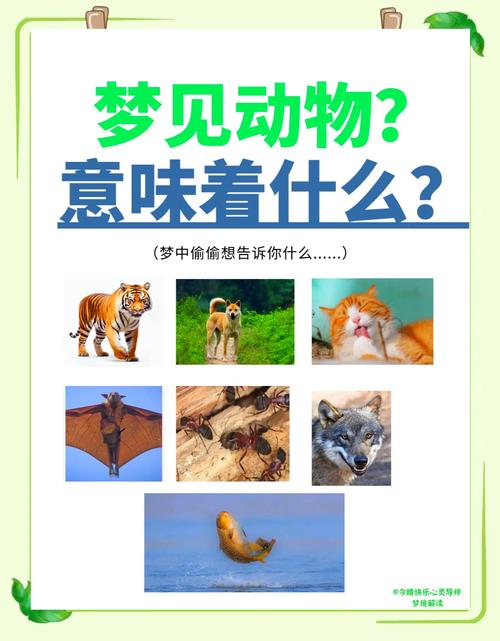 梦见动物展览会解码梦境象征及3大心理学角度解析