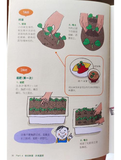 梦见种菜的深层含义及其心理暗示解读梦境背后的秘密