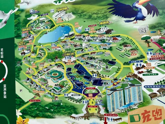 梦见动物园与真实游览解析潜意识与旅游体验对比