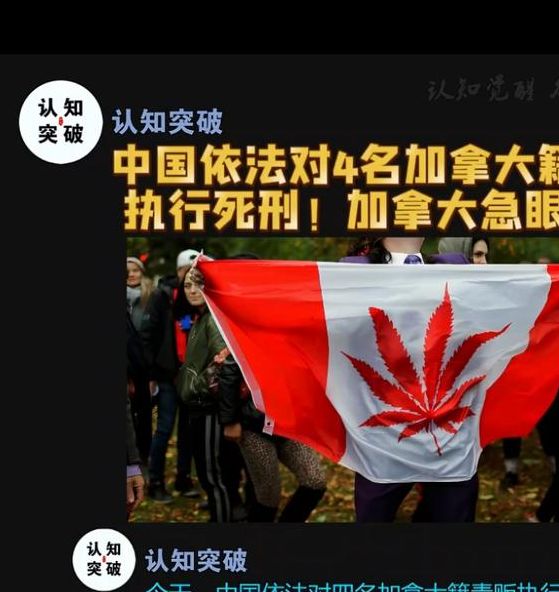 2025年3月20日：中国对4名加拿大籍毒贩执行死刑的深度解析