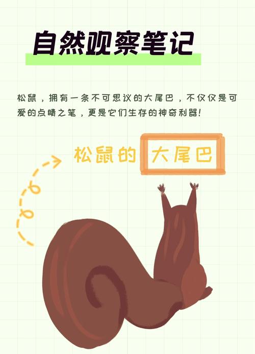 手游攻略：松鼠的长尾巴隐藏的秘密功能，提升游戏技巧不可错过！