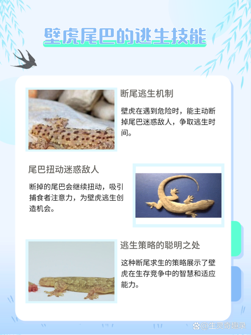 手游攻略 | 壁虎会叫吗？探究这些小动物的声音秘密
