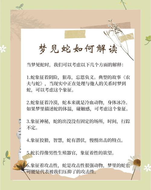 梦见抓蛇深度解读梦境象征及心理影响