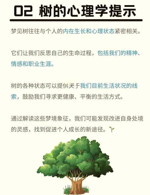 梦见树荫的6大象征意义解梦指南与心理分析