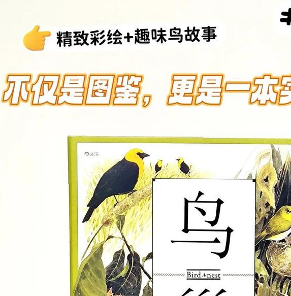 梦见鸟巢意味着哪些？解读背后的心理象征与含义