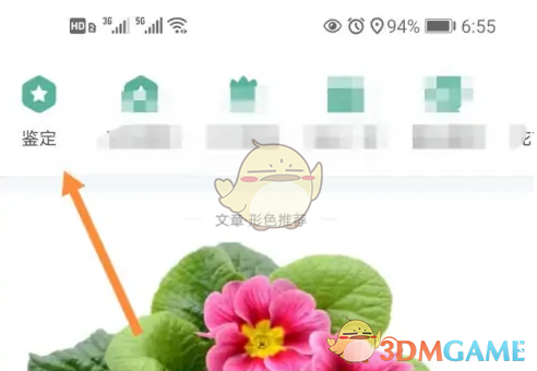 你知道如何在形色中快速鉴定植物吗? 你知道如何在形色中快速鉴定植物吗?