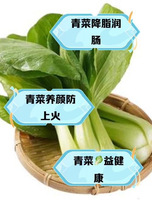 梦见青菜象征寓意解析提升生活品质的小秘诀