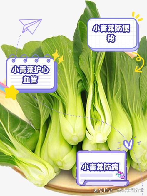梦见青菜象征寓意解析提升生活品质的小秘诀