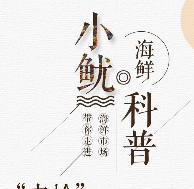 梦见文蛤象征哪些寓意？解读梦中贝类的深层含义