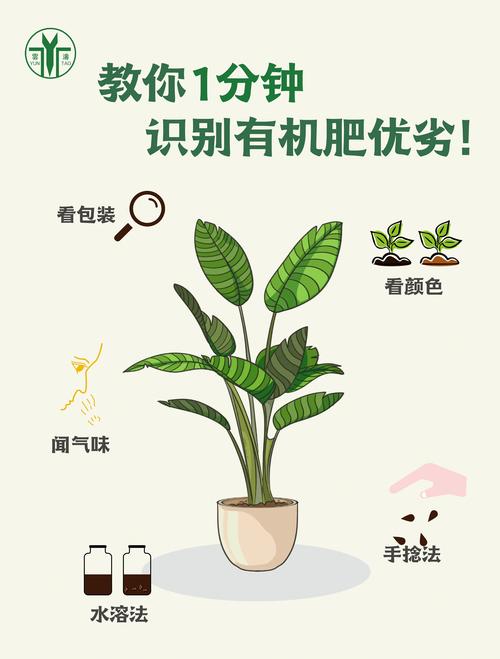 梦见肥料揭示内心丰盈潜力，网友分享独特解读视角！