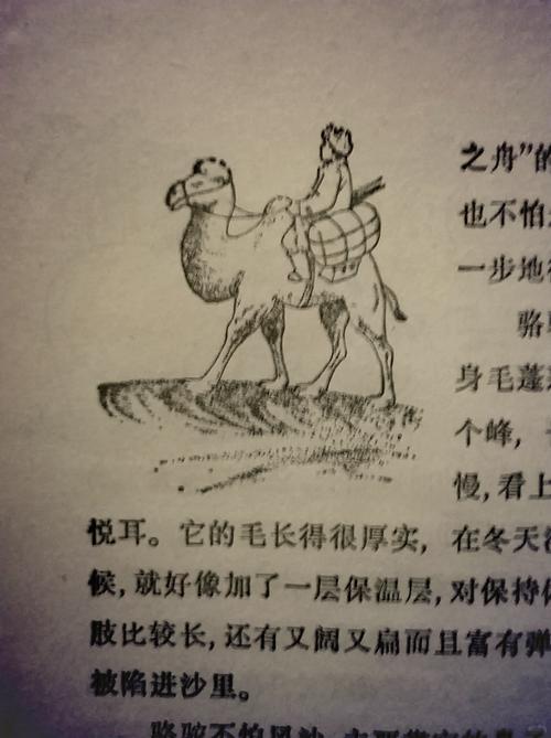 揭秘梦见四不像的象征意义，生活幸福指南