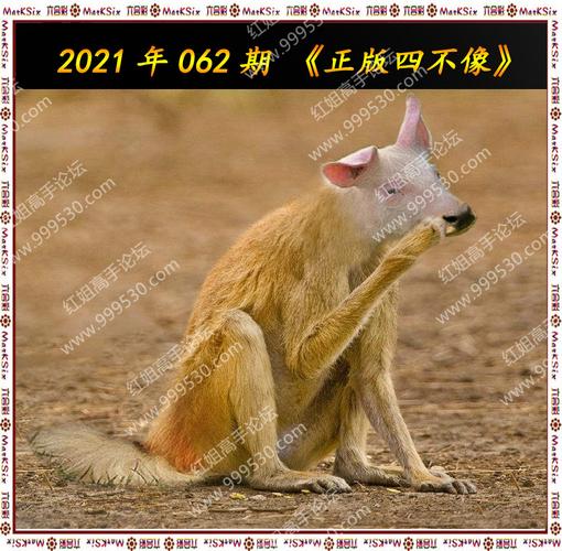 揭秘梦见四不像的象征意义，生活幸福指南