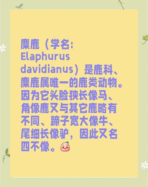 揭秘梦见四不像的象征意义，生活幸福指南