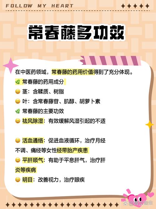 揭秘梦见常青藤的5个深层心理解析与专家建议