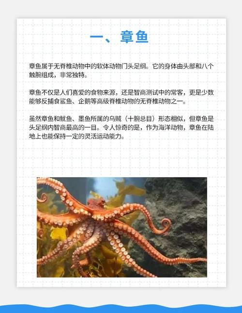 梦见章鱼的象征意义解析心理暗示 vs 文化解读，如何影响你的生活？
