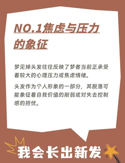 梦见梳头掉头发象征意义深析心理解读与生活影响 梦见梳头掉头发象征意义深析心理解读与生活影响