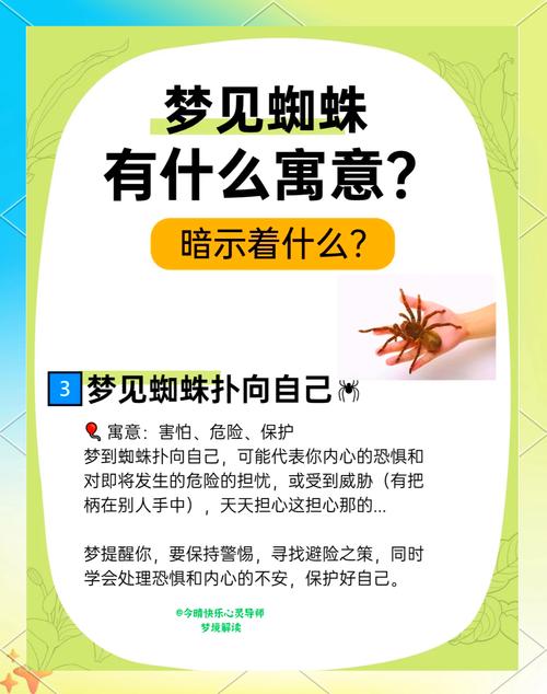 梦见蜘蛛结网寓意深刻解读梦境中的积极象征与生活启示 梦见蜘蛛结网寓意深刻解读梦境中的积极象征与生活启示