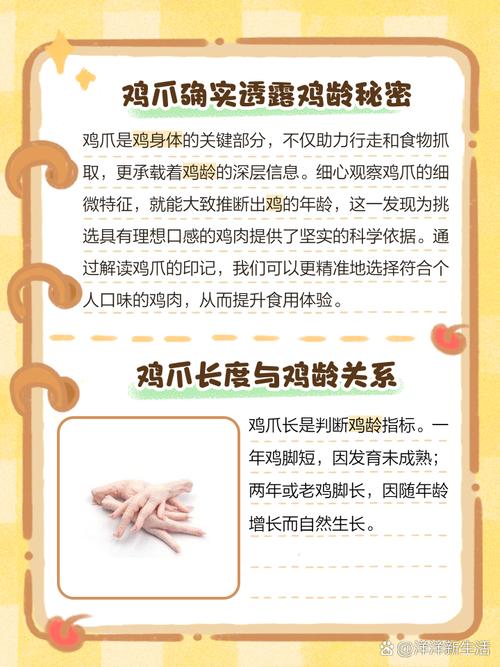 梦见鸡爪解读心理暗示与生活启示的独特视角 梦见鸡爪解读心理暗示与生活启示的独特视角
