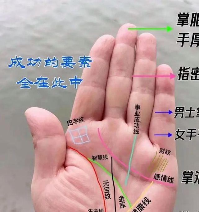 手掌露珠梦境解析暗示了哪些潜在心理变化? 手掌露珠梦境解析暗示了哪些潜在心理变化?