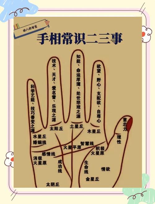 手掌露珠梦境解析暗示了哪些潜在心理变化? 手掌露珠梦境解析暗示了哪些潜在心理变化?