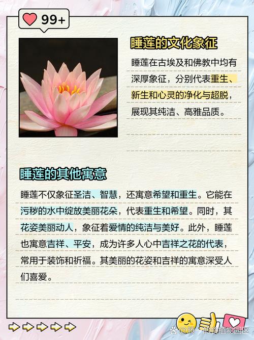 梦见睡莲寓意是哪些？了解梦境背后的心理含义