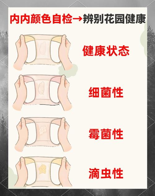 梦见内裤的6种象征含义及生活启示