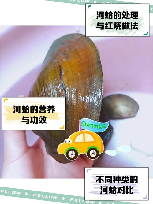 梦见蛤蚶有哪些寓意?揭秘梦境背后的心理暗示 梦见蛤蚶有哪些寓意?揭秘梦境背后的心理暗示