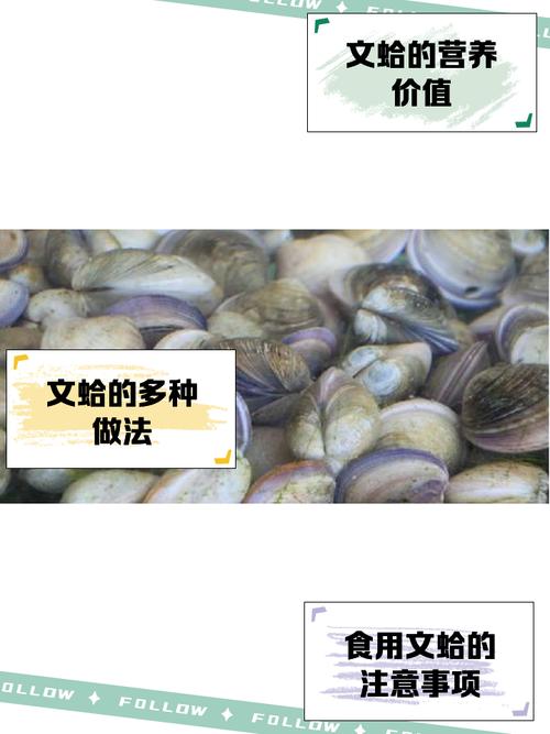 梦见蛤蚶有哪些寓意?揭秘梦境背后的心理暗示 梦见蛤蚶有哪些寓意?揭秘梦境背后的心理暗示