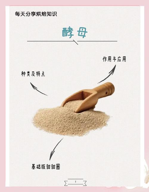 解密梦见酵母10个你必须知道的心理学解释