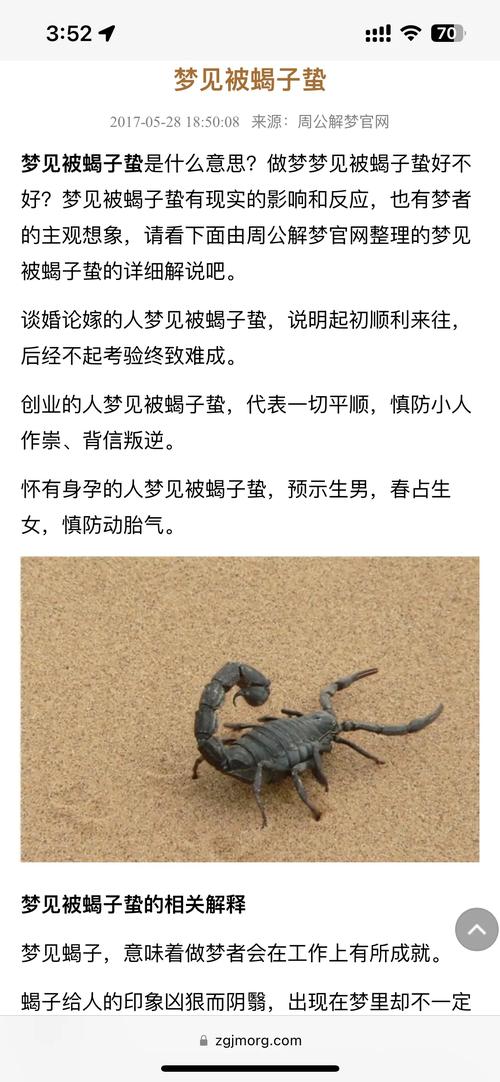 梦见蝎子预示哪些？解析梦境背后隐藏的心理暗示