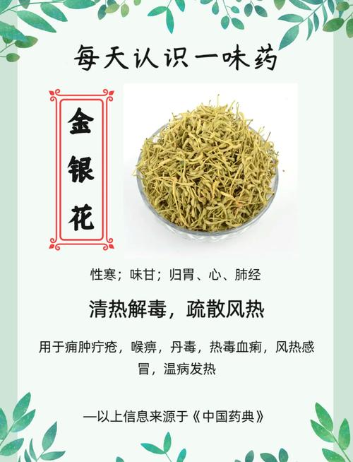 梦见金银花寓意解析高效解读你的内心潜意识