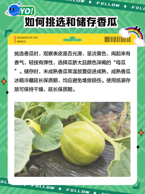 梦见香瓜的象征意义是哪些？解析解梦，让运势更明朗！