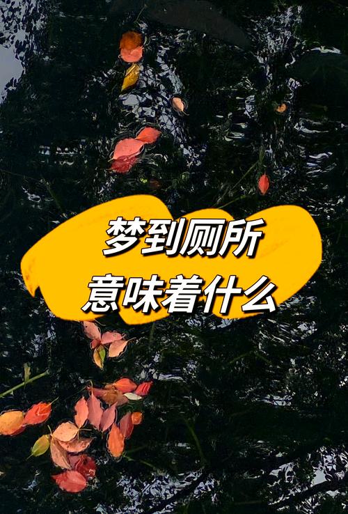 解梦宝典4大权威解析梦见盥洗室的心理暗示