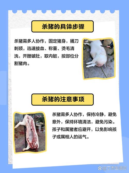 解析梦见宰杀猪的8个象征意义心理与生活启示