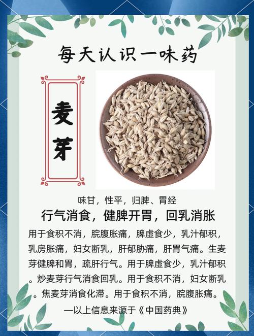 梦见麦芽象征解析如何高效解读梦境含义与内在暗示？