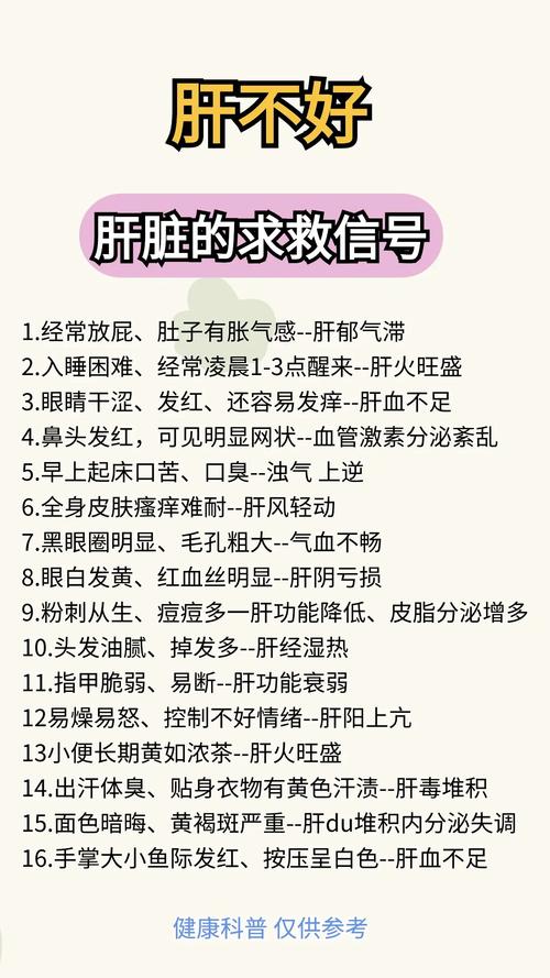 梦见肺肝预示哪些？揭秘背后隐藏的情感信号