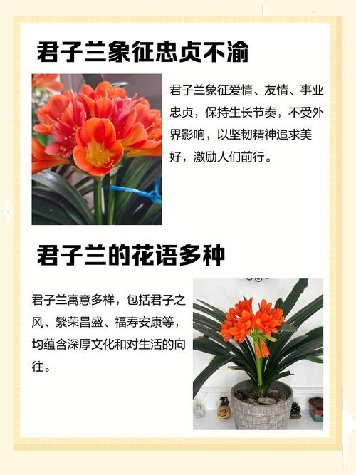 梦见种大葱的5大象征意义，揭示梦境背后深意